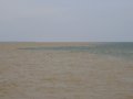 IMG_0971-copy