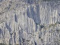 IMG_3464-copy1
