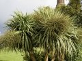 IMG_8212-copy