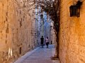 IMG_5739-copy