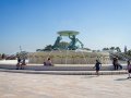 IMG_5820-copy