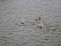 IMG_0744 copy